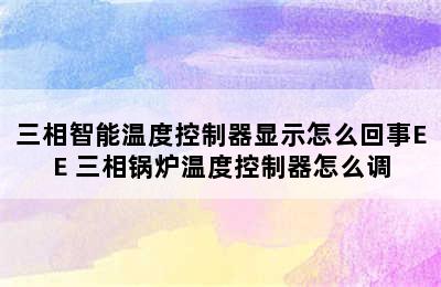 三相智能温度控制器显示怎么回事EE 三相锅炉温度控制器怎么调